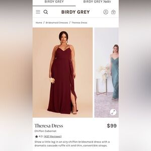 Birdy Grey Cabernet Chiffon Gown